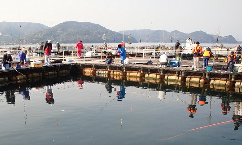 海上釣り堀で魚が釣れない どうすればいい 公式 釣堀紀州 和歌山 有田郡広川町の海上釣堀 釣り堀 紀州