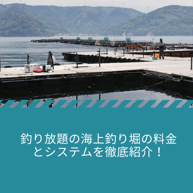 釣り放題の海上釣り堀の料金とシステムを徹底紹介 公式 釣堀紀州 和歌山 有田郡広川町の海上釣堀 釣り堀 紀州