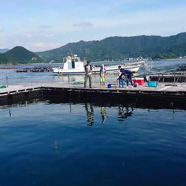 夏の海上釣堀を楽しもう コツ エサ 服装も紹介 公式 釣堀紀州 和歌山 有田郡広川町の海上釣堀 釣り堀 紀州