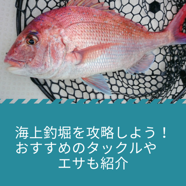 海上釣堀を攻略しよう おすすめのタックルやエサもご紹介 公式 釣堀紀州 和歌山 有田郡広川町の海上釣堀 釣り堀 紀州